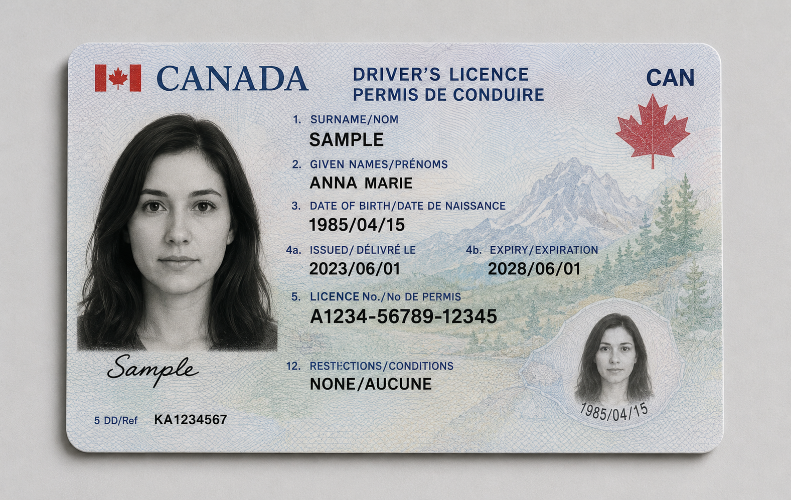 Driving license applications
